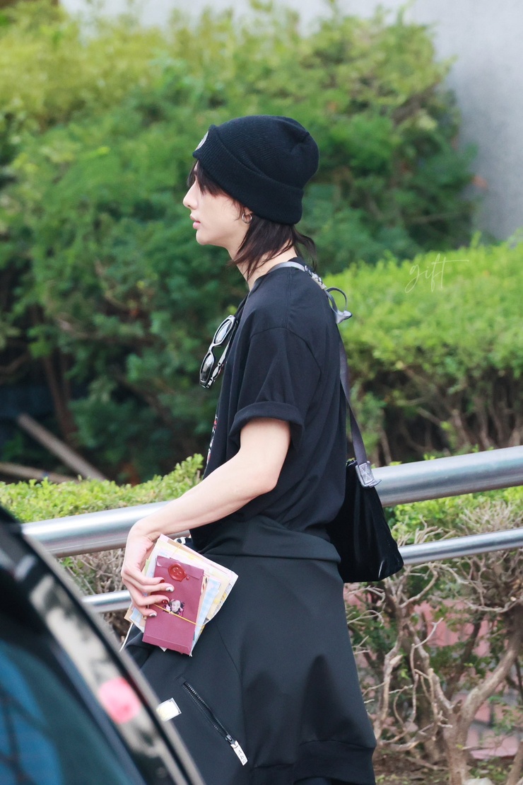 Hyun-Jin Hwang