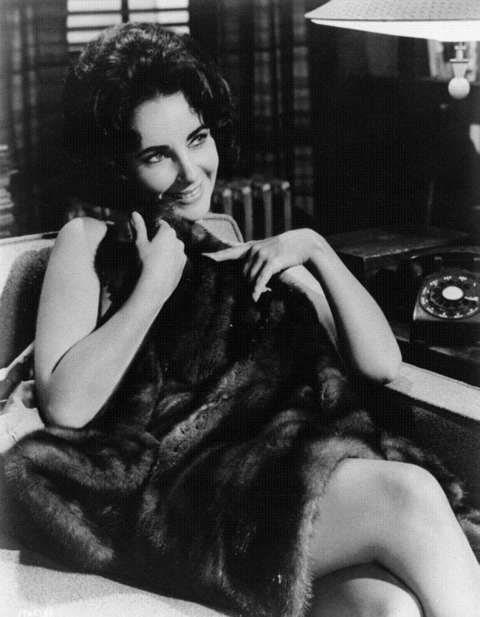 Elizabeth Taylor Elizabeth Taylor