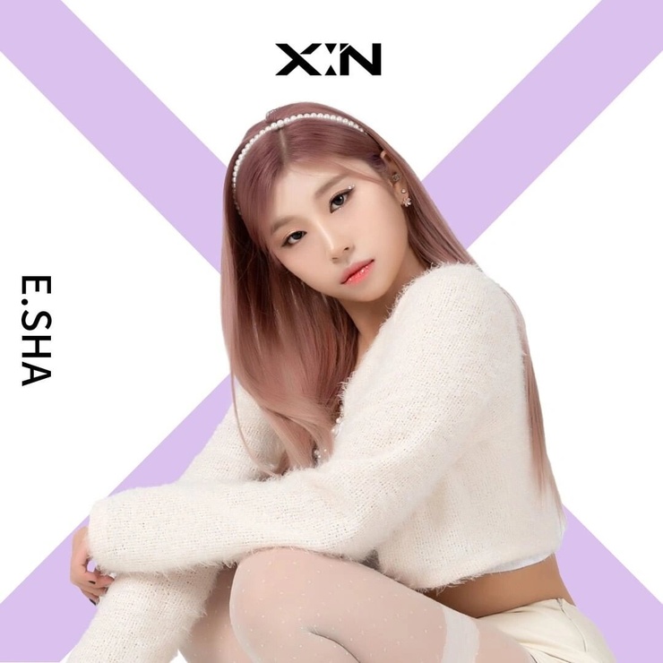 X:IN