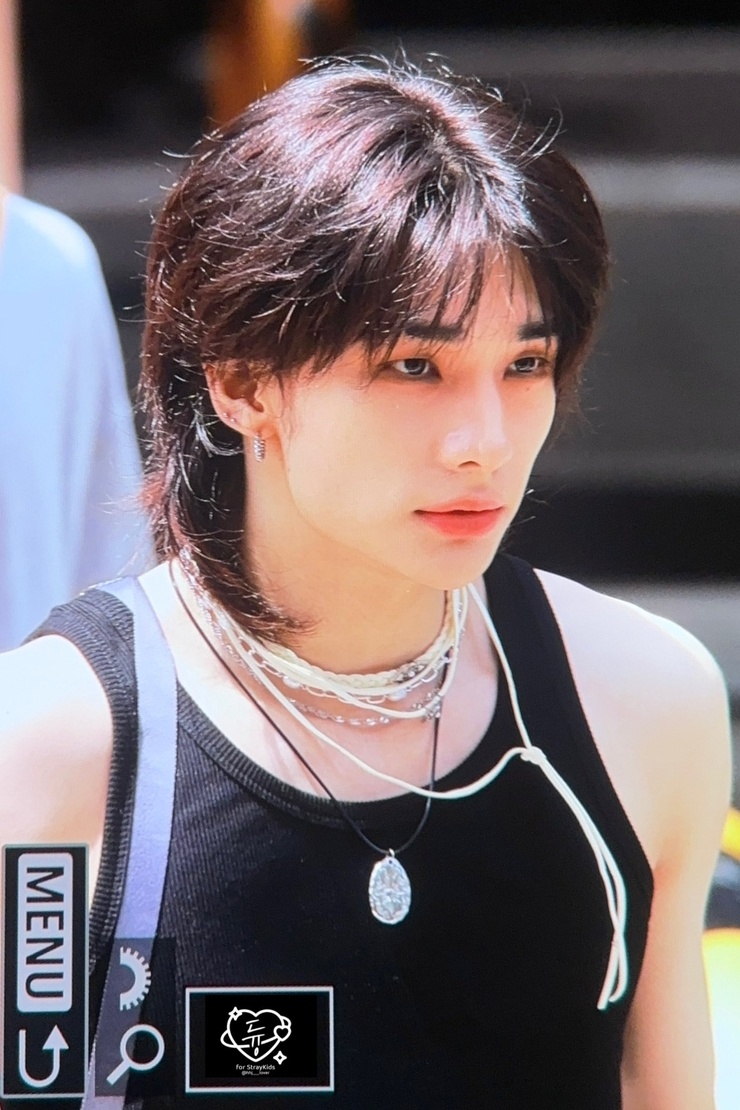 Hyun-Jin Hwang