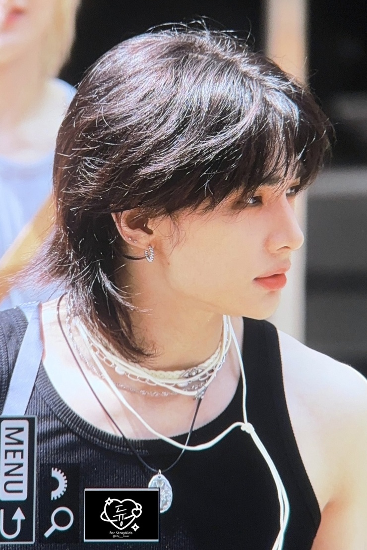 Hyun-Jin Hwang