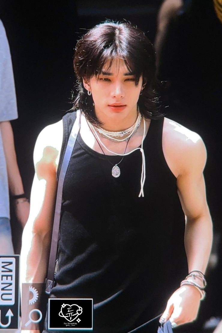 Hyun-Jin Hwang