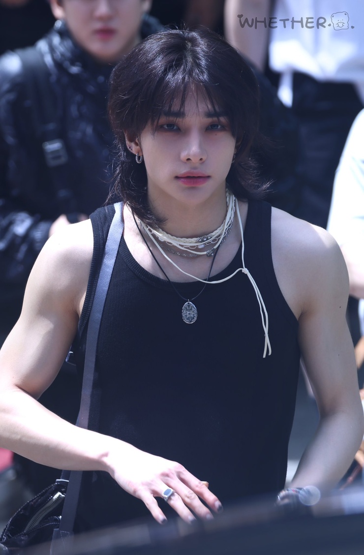 Hyun-Jin Hwang