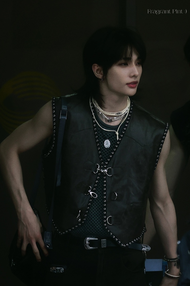 Hyun-Jin Hwang