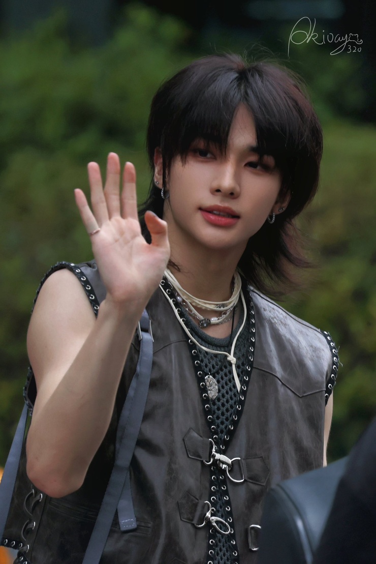 Hyun-Jin Hwang