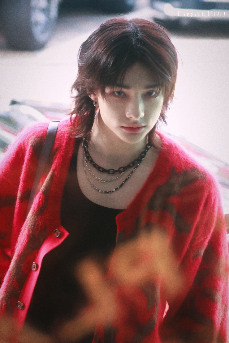 Hyun-Jin Hwang
