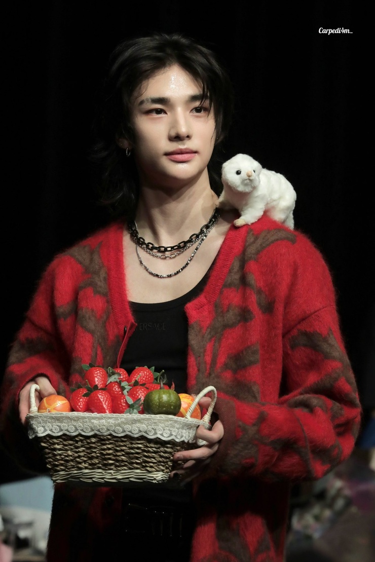 Hyun-Jin Hwang
