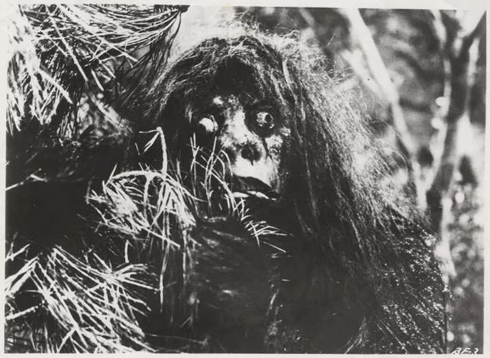 Bigfoot