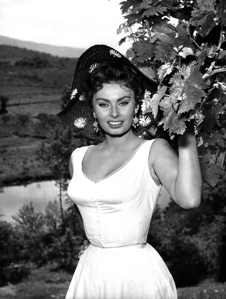 Picture of Sophia Loren