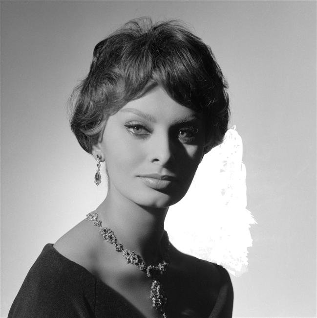 Sophia Loren picture