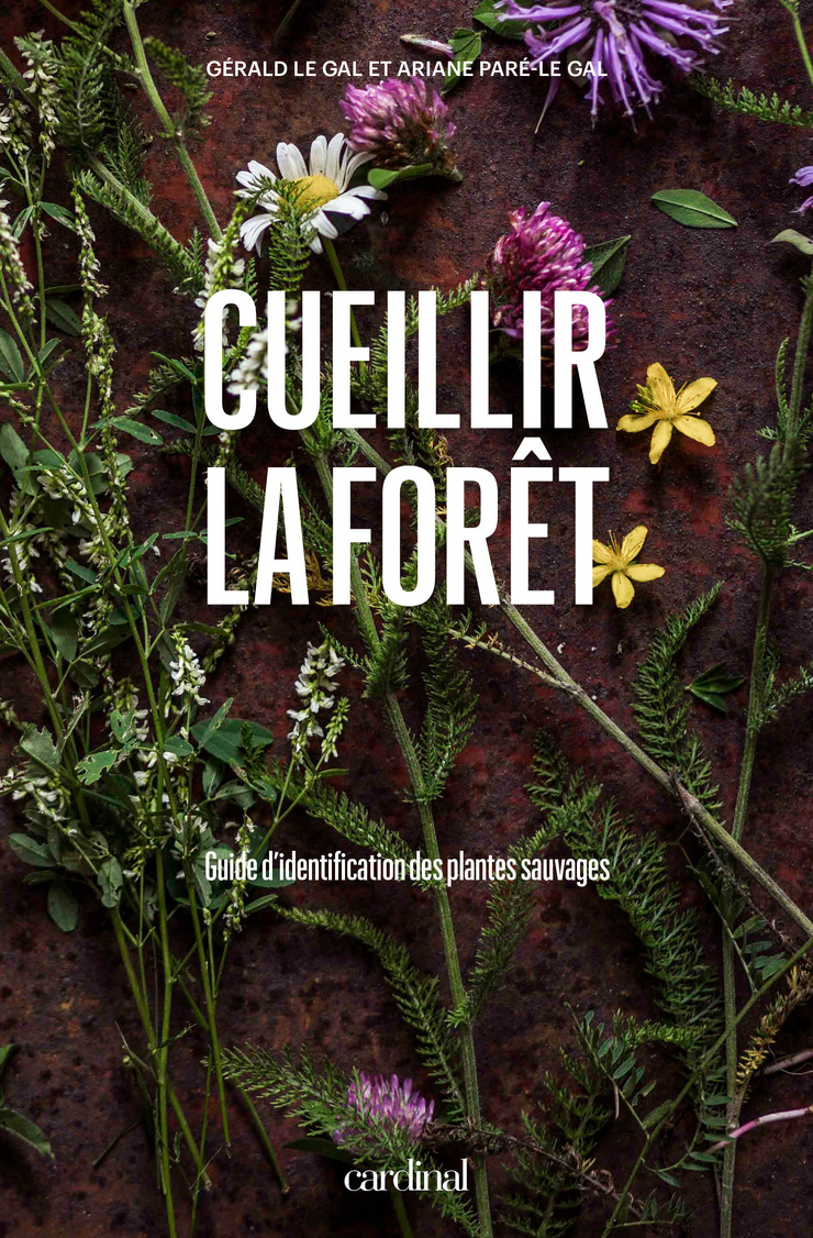 Cueillir la forêt : Guide d’identification des plantes sauvages