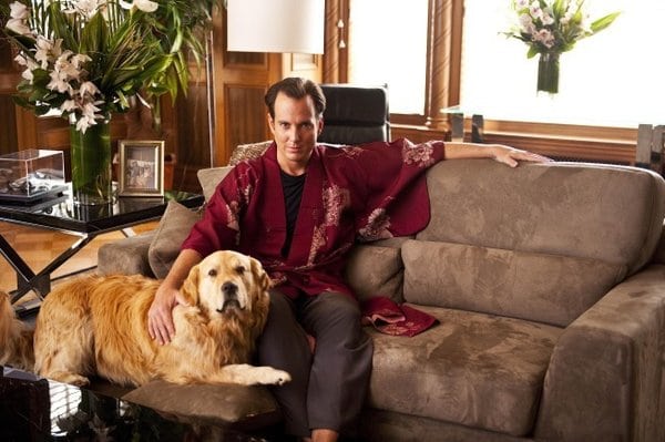 Will Arnett Will Arnett