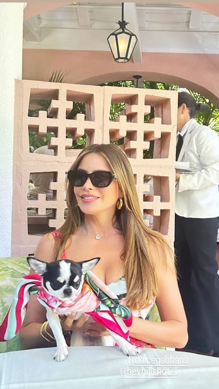 Sofía Vergara