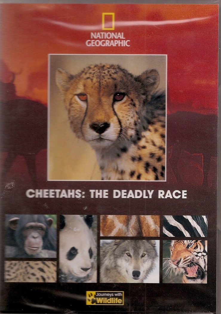 Journeys with Wildlife - Cheetahs: The Deadly Race
