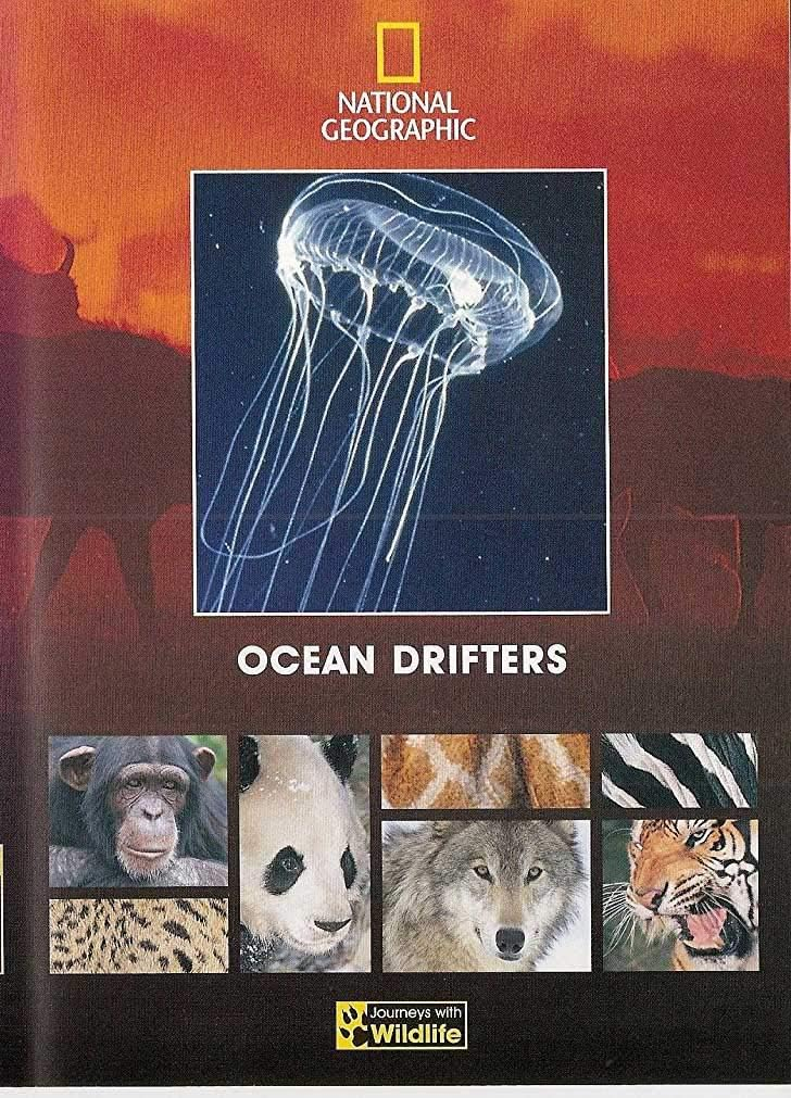 Journeys with Wildlife: Ocean Drifters