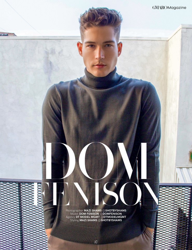 Dom Fenison