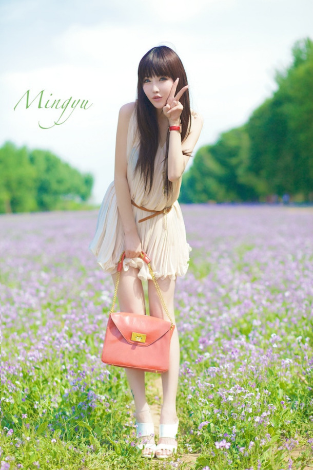 Shi Zi Jia Shi Zi Jia