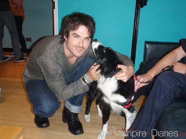 Ian Somerhalder
