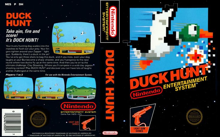 Duck Hunt