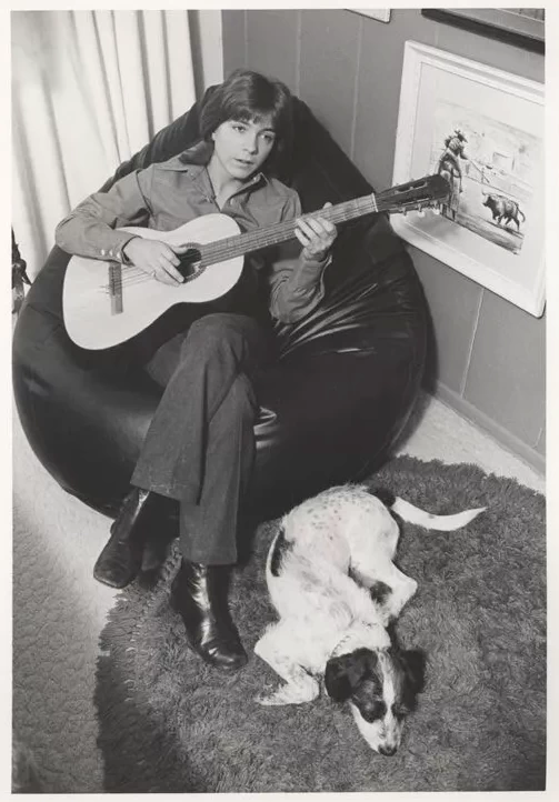 David Cassidy