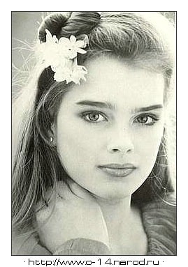 Picture of Brooke Shields