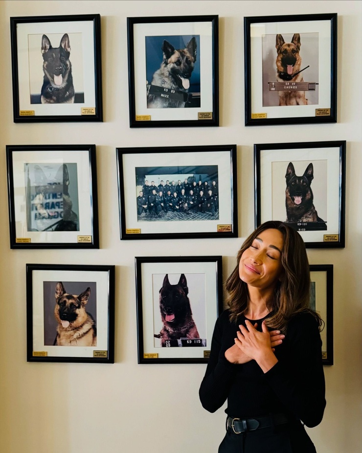 Maggie Q