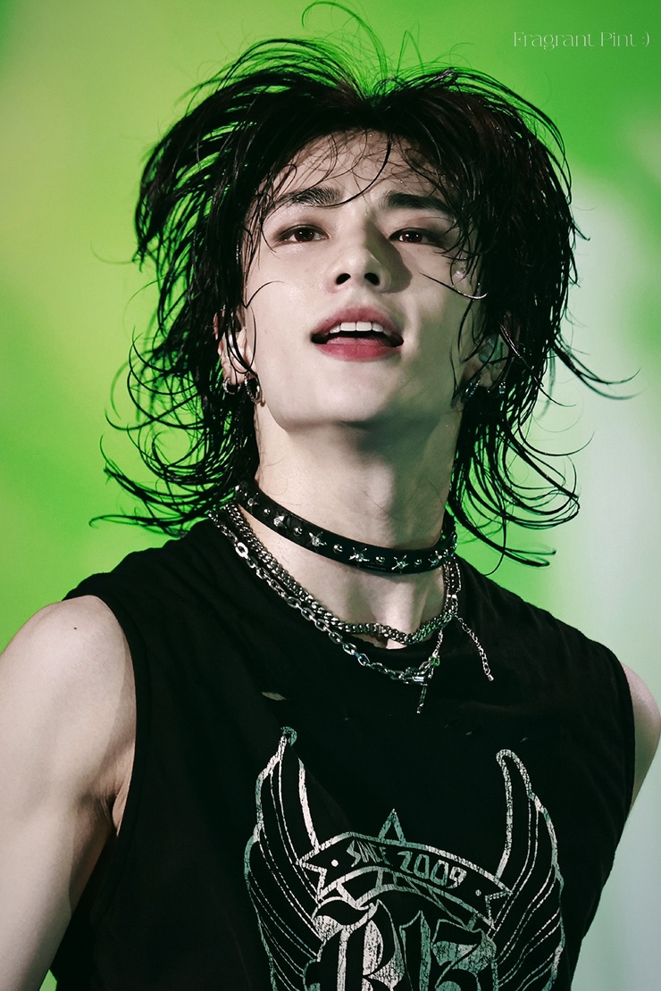Hyun-Jin Hwang