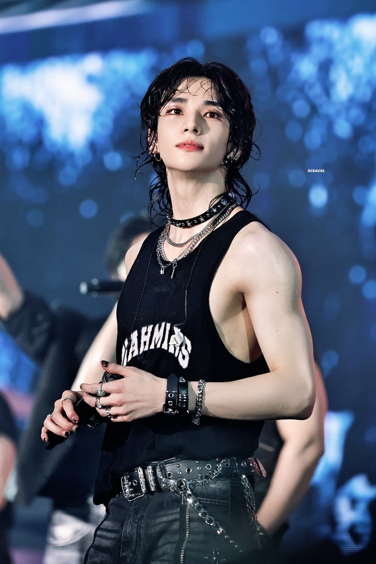 Hyun-Jin Hwang