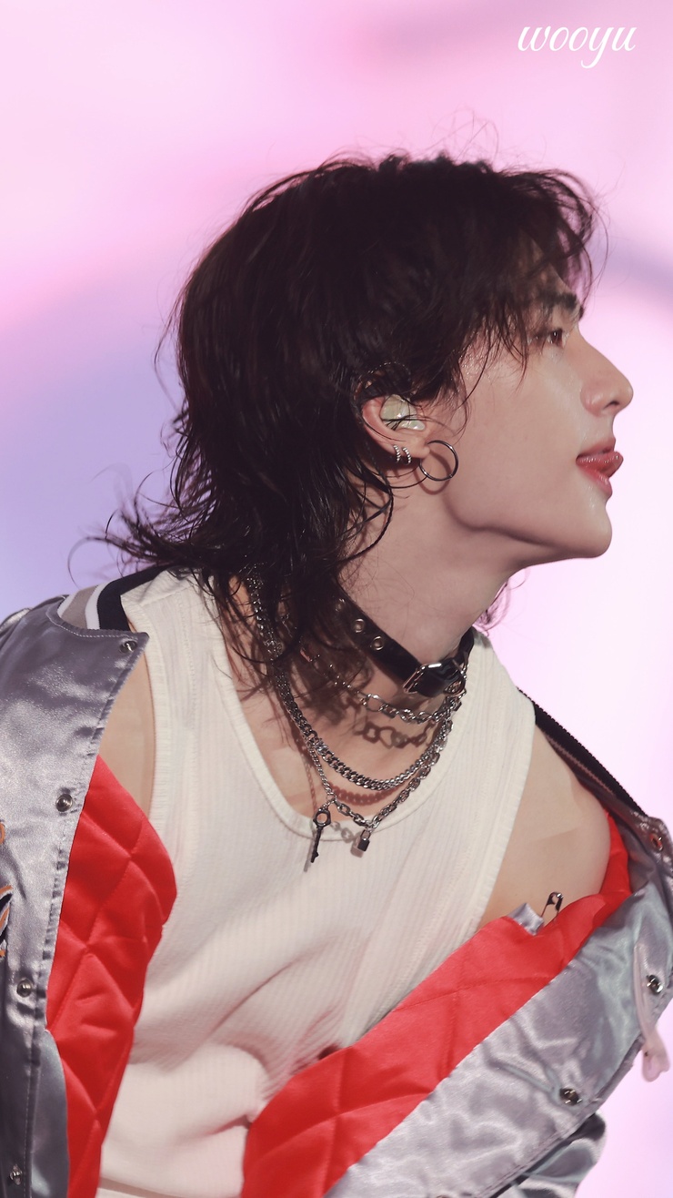 Hyun-Jin Hwang