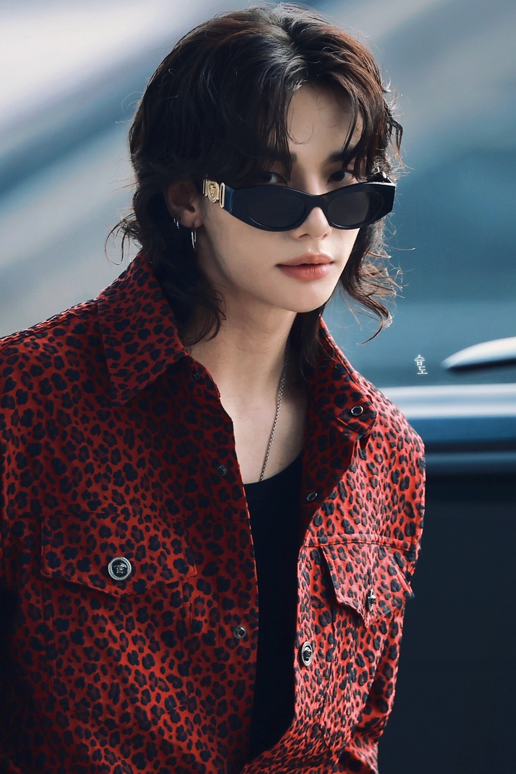 Hyun-Jin Hwang
