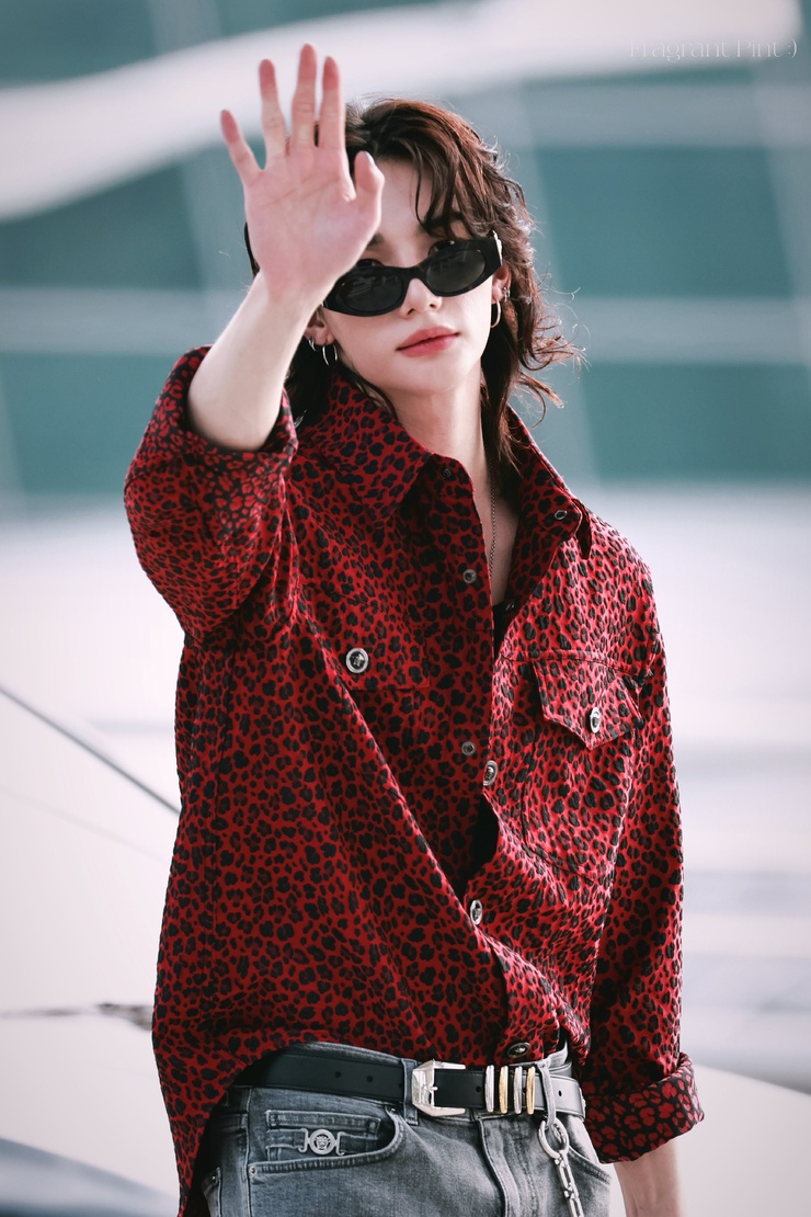 Hyun-Jin Hwang
