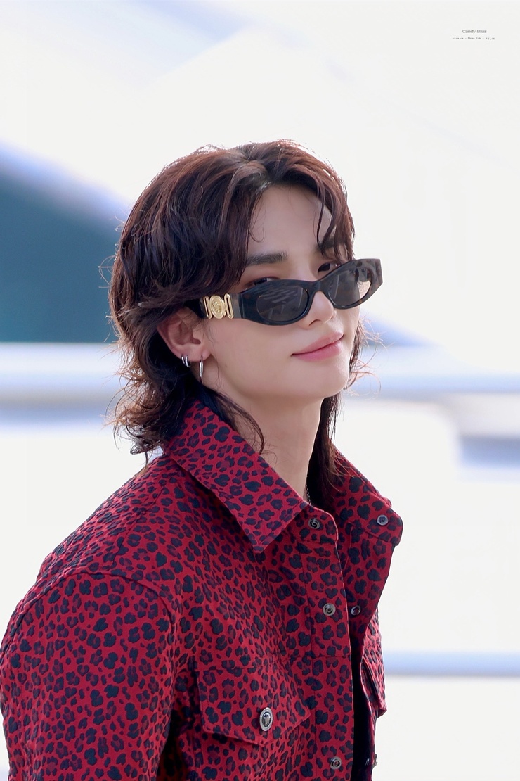 Hyun-Jin Hwang