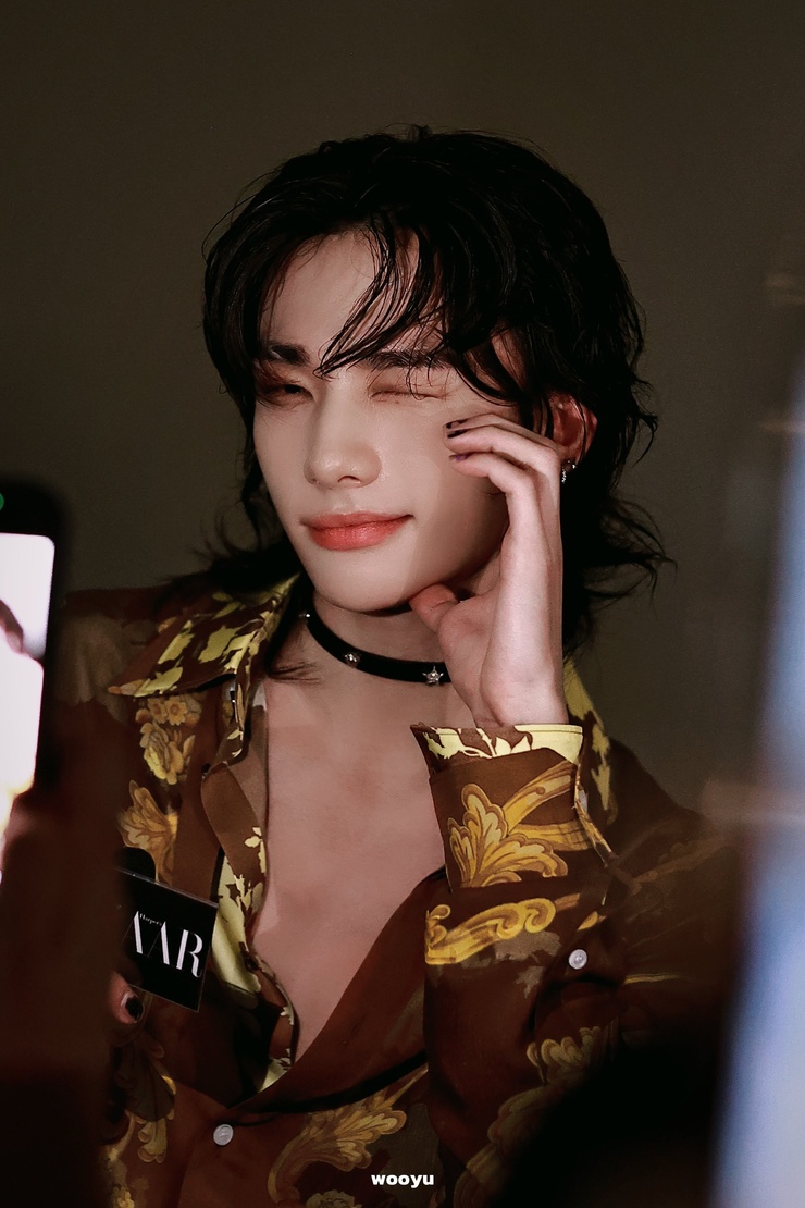 Hyun-Jin Hwang