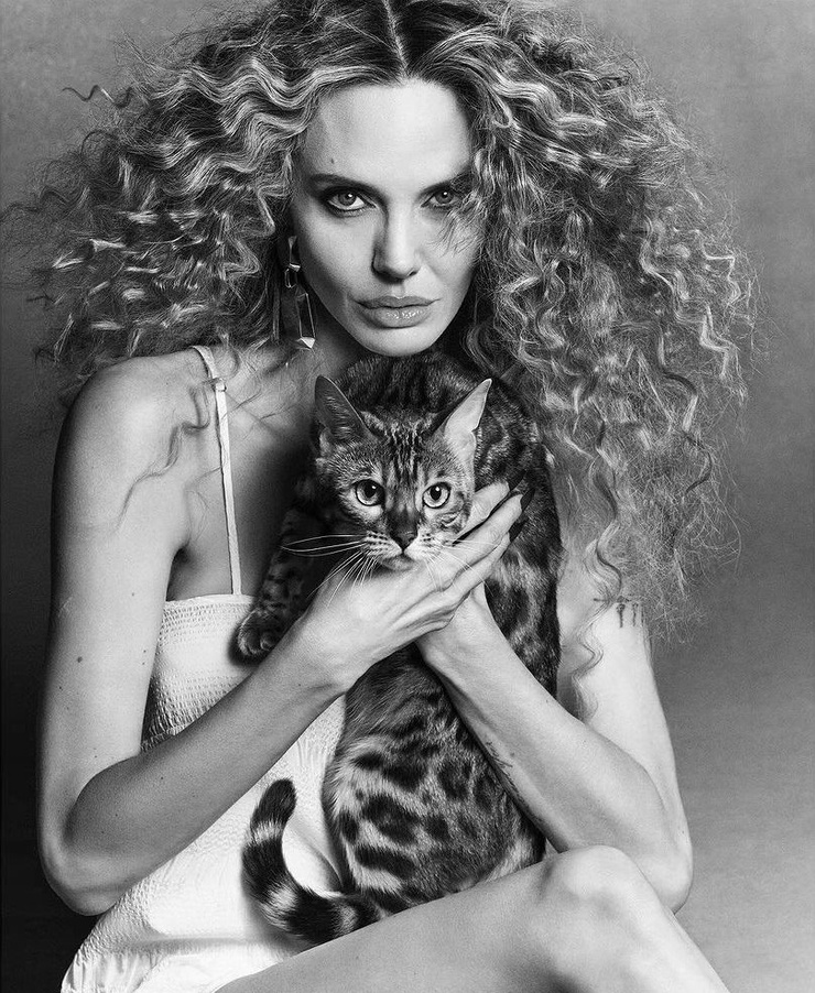 Angelina Jolie Angelina Jolie