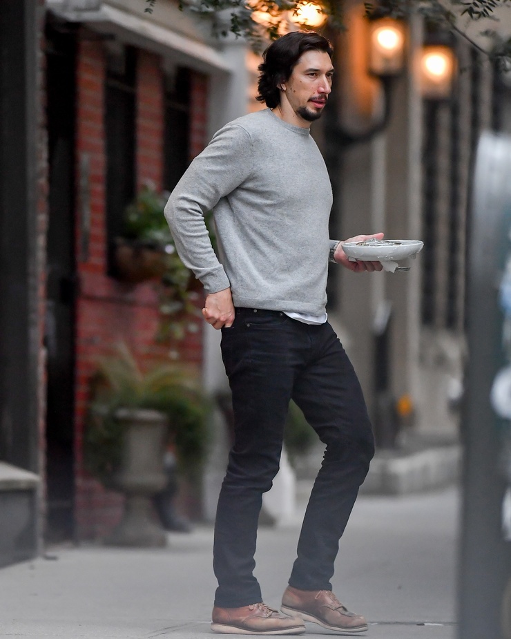 Adam Driver