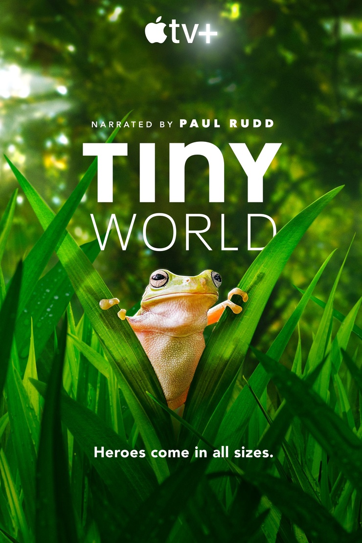 Tiny World Tiny World