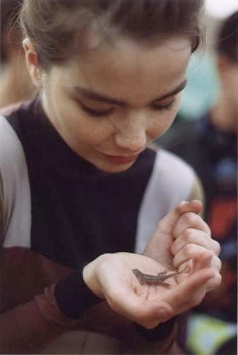 Björk