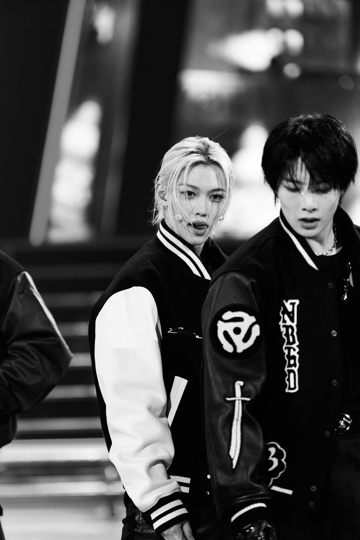 Picture of stray kids