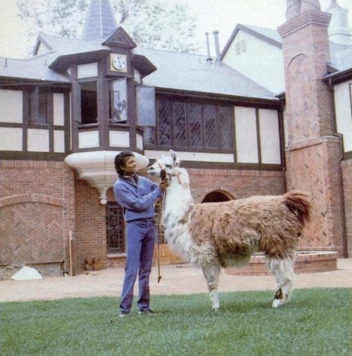 Michael Jackson