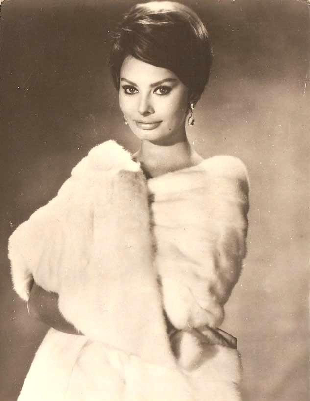 Sophia Loren