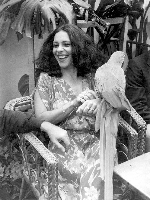 Gal Costa Gal Costa
