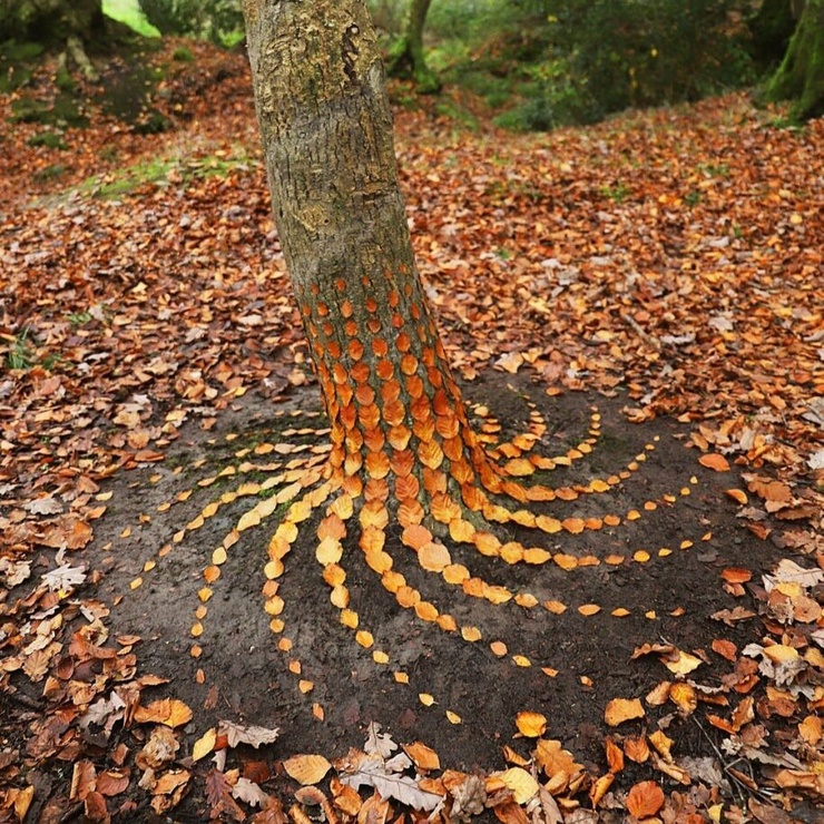 Jon Foreman (Land Artist)