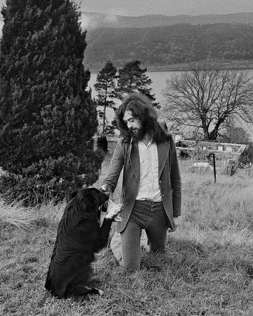 Jimmy Page