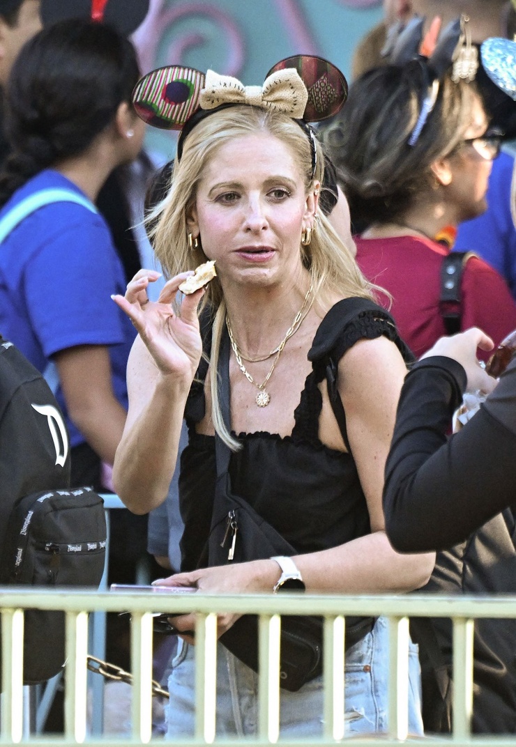 Sarah Michelle Gellar Sarah Michelle Gellar