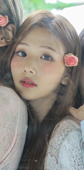 Mimiirose