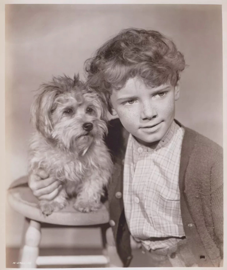 Peter Miles