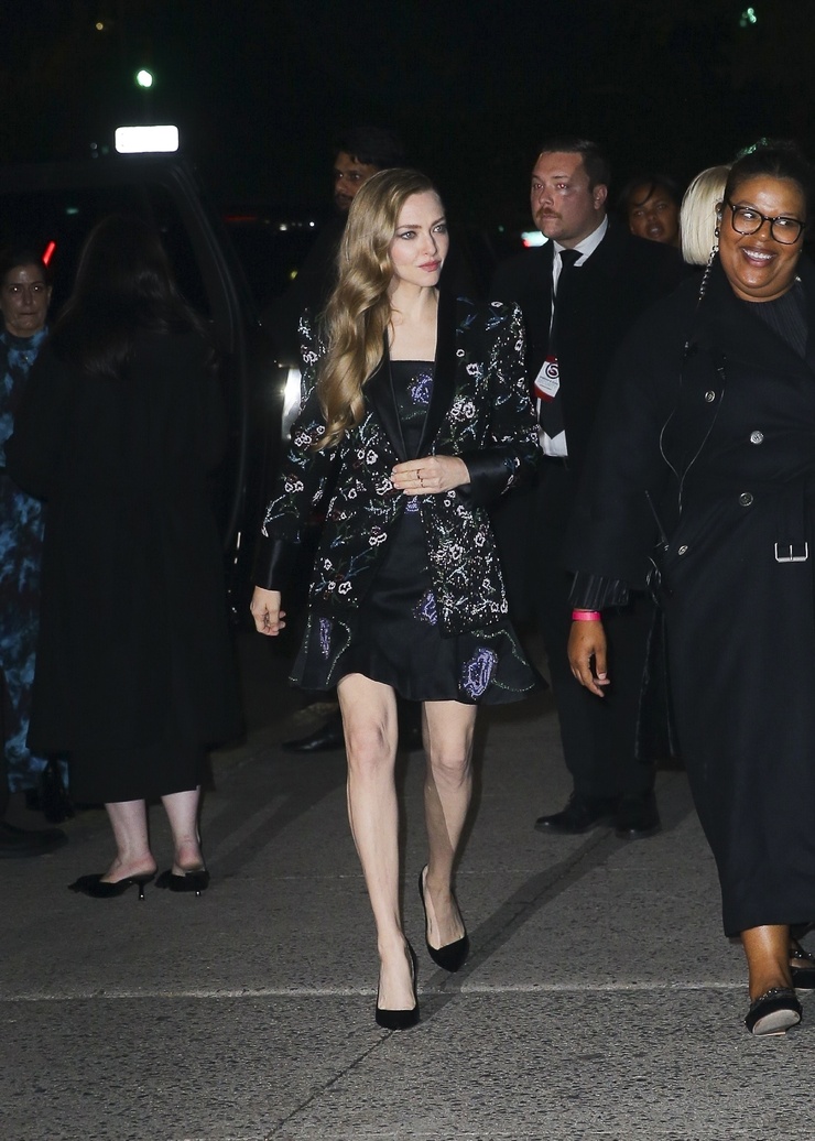 Amanda Seyfried