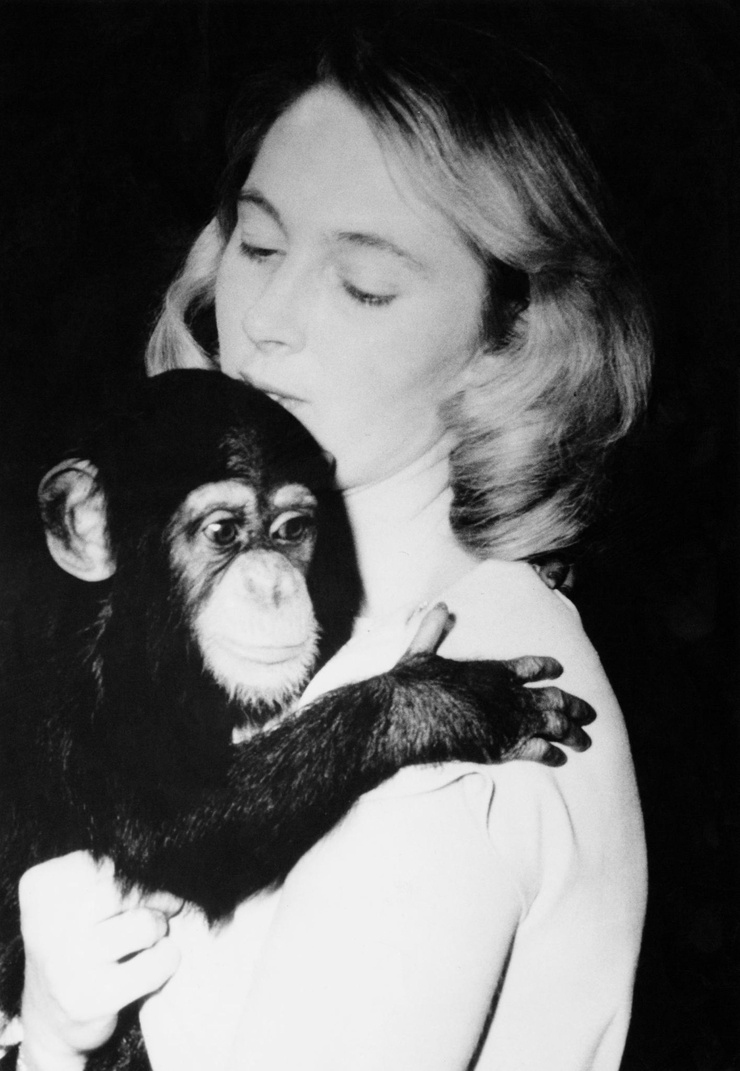 Jane Goodall Jane Goodall