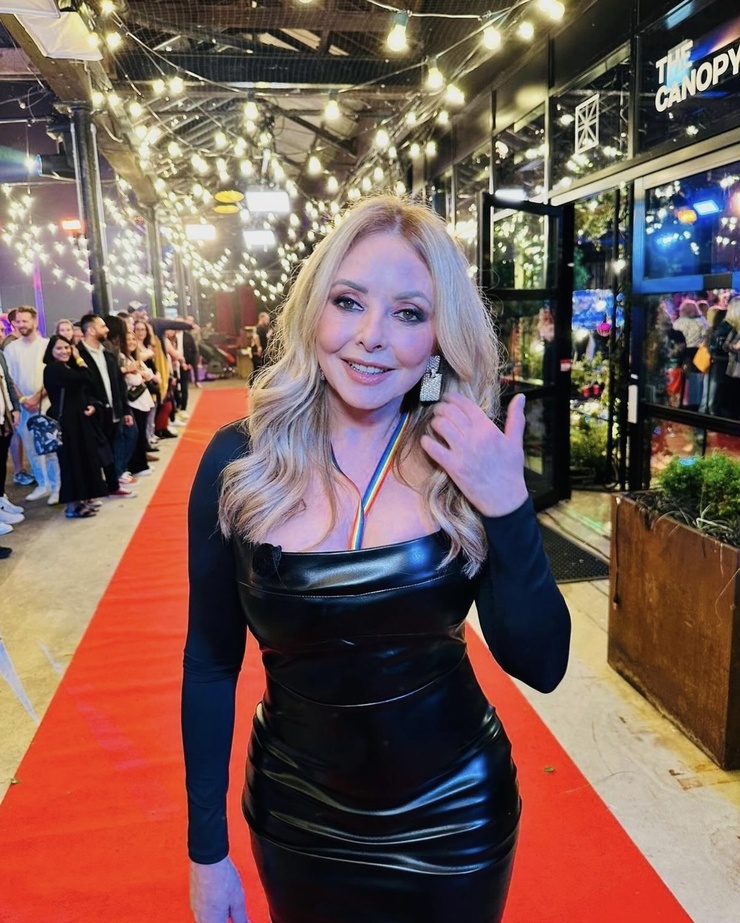 Carol Vorderman Carol Vorderman