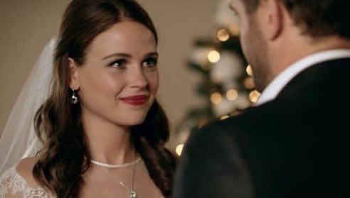 Christmas Wedding Planner